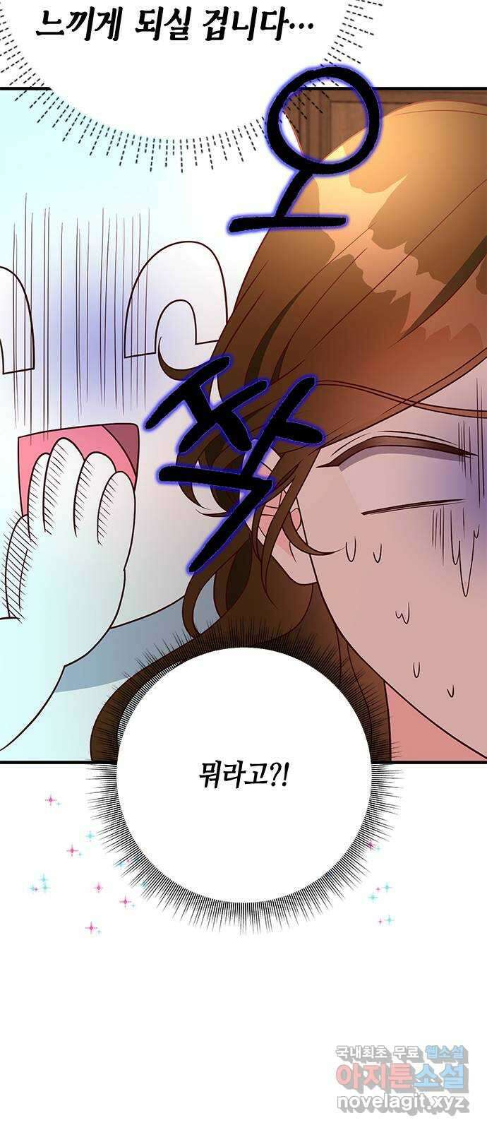 어느 백작 영애의 이중생활 41화 11