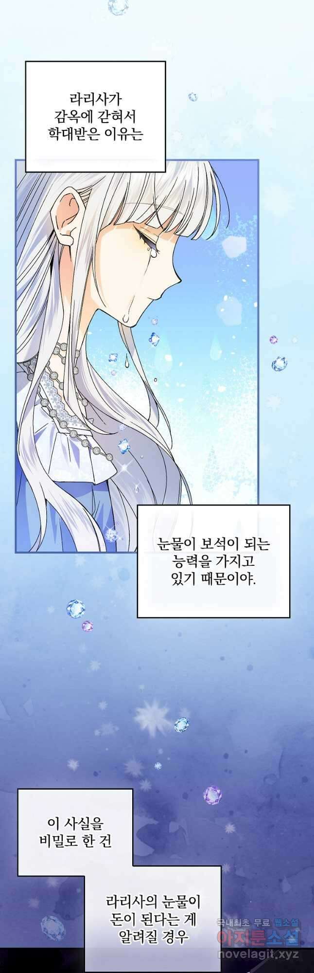 동화 속 악역의 완벽한 엔딩 플랜 63화 22