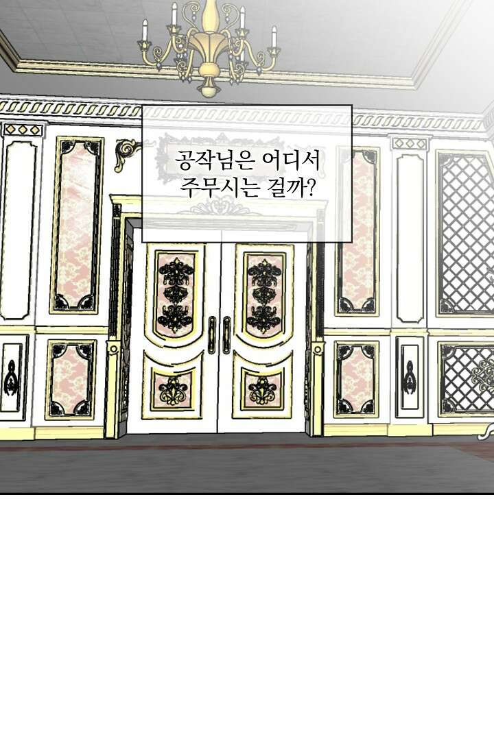 눌리타스 : 절반의 백작 영애 88화 5