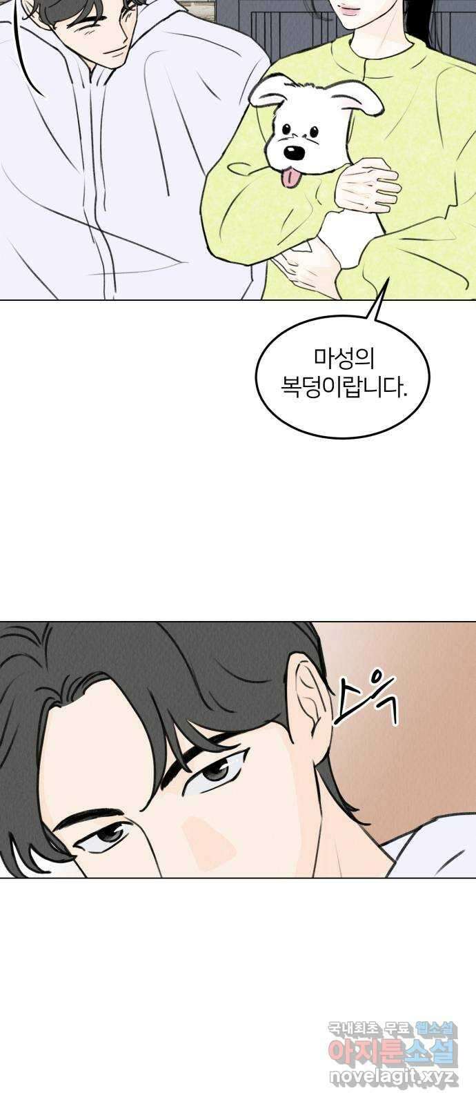 우리 집 고양이 보고 갈래? 20화 4