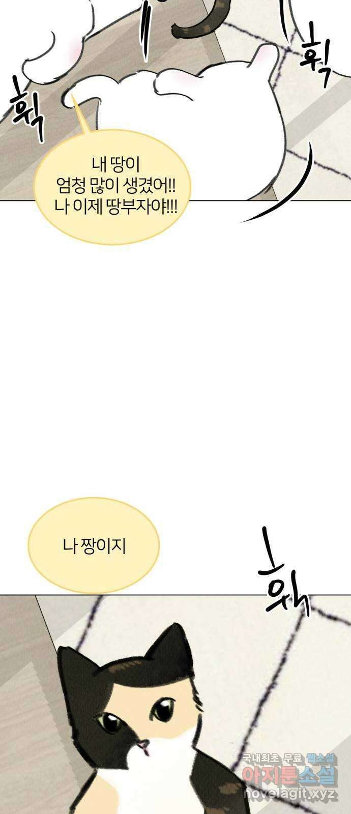 우리 집 고양이 보고 갈래? 20화 11