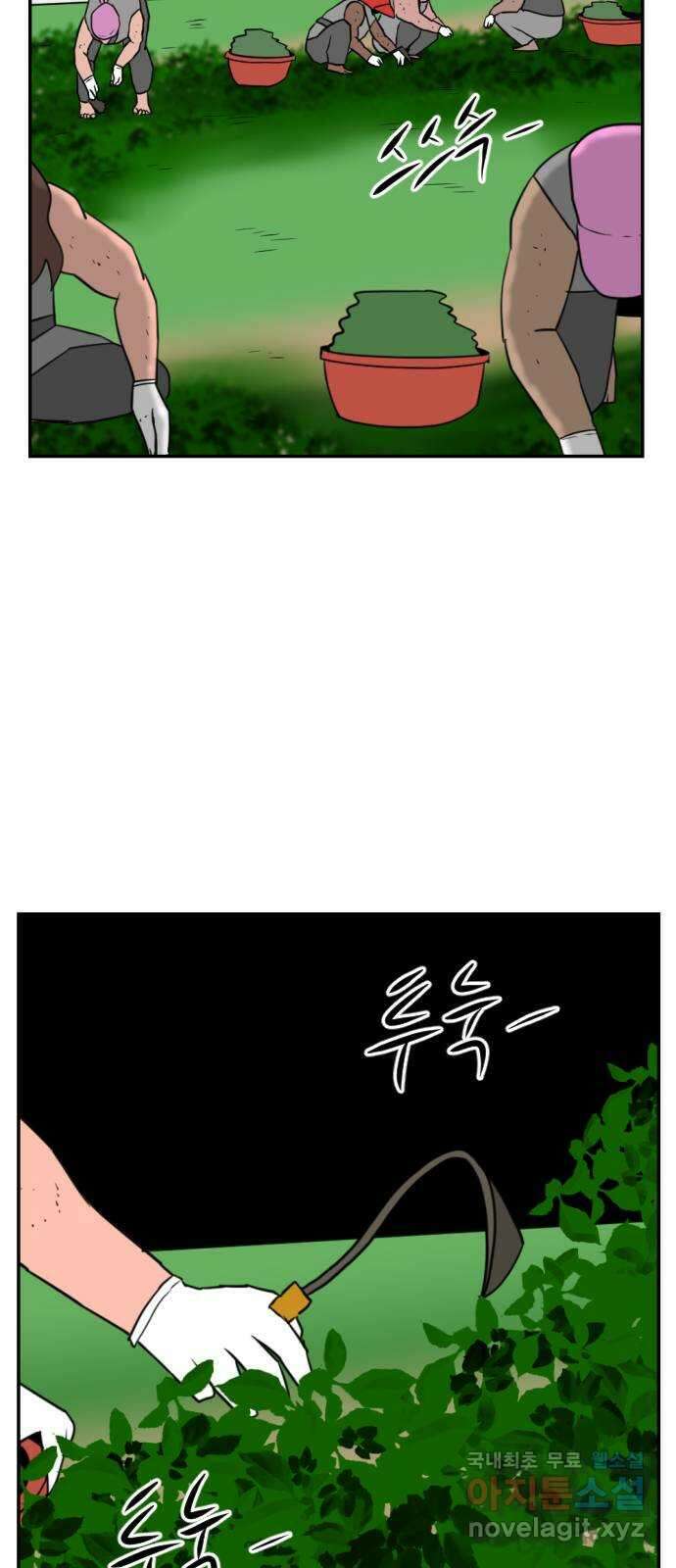 언덕 위의 제임스 388화 신의 은총 (2) 31