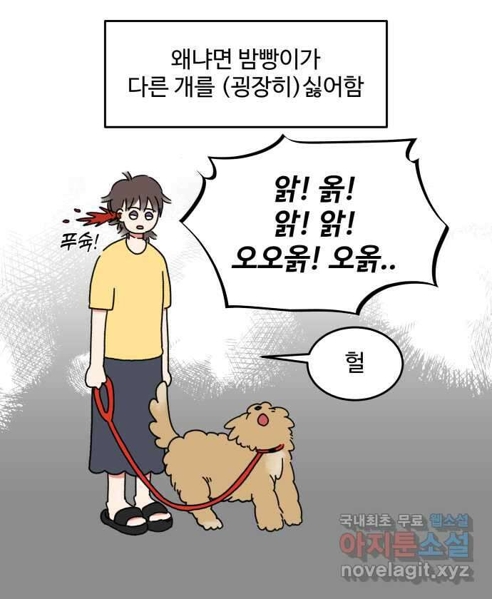 강아지는 멍멍하고 짖지 않아! 2화 - No호락산책 12