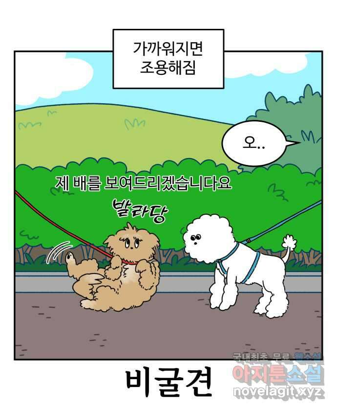 강아지는 멍멍하고 짖지 않아! 2화 - No호락산책 15