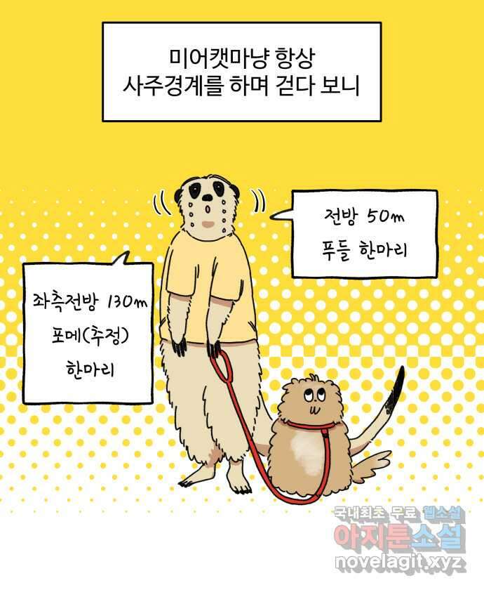 강아지는 멍멍하고 짖지 않아! 2화 - No호락산책 19
