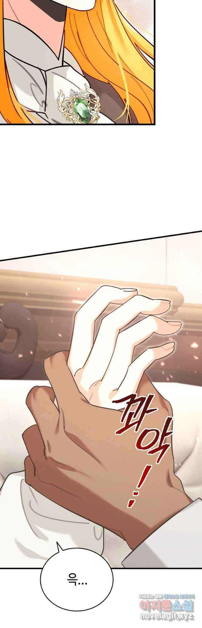대공님의 애완 수인 38화 23