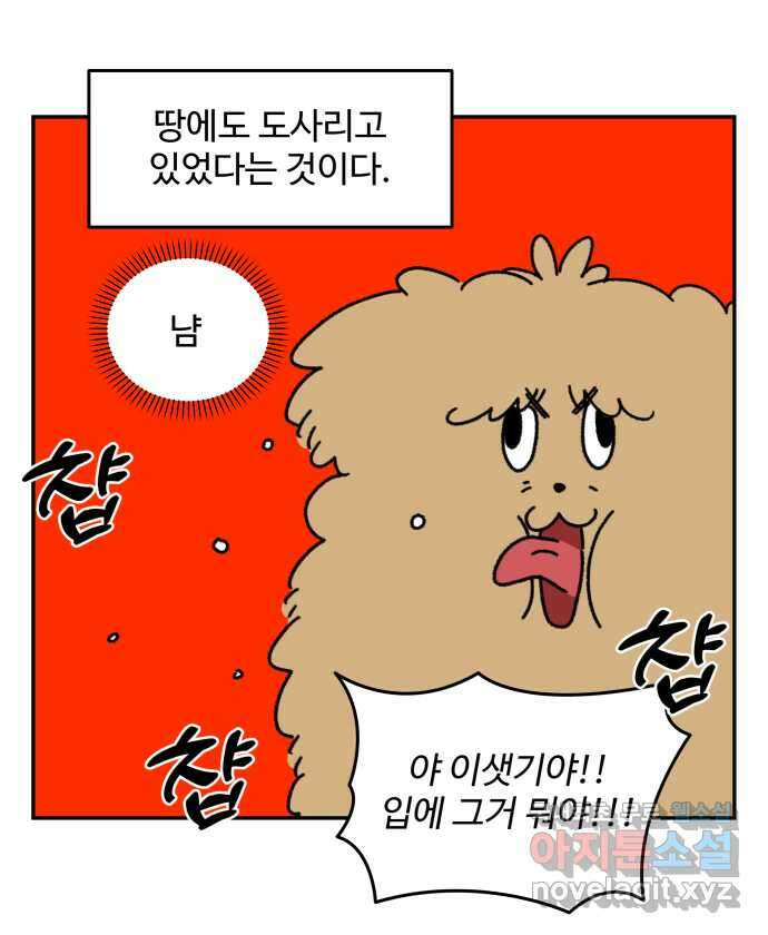 강아지는 멍멍하고 짖지 않아! 8화 - 방심할 수 없는 산책 6