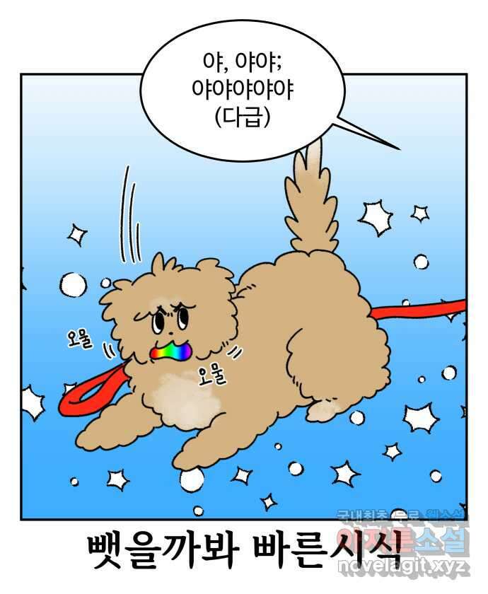 강아지는 멍멍하고 짖지 않아! 8화 - 방심할 수 없는 산책 16