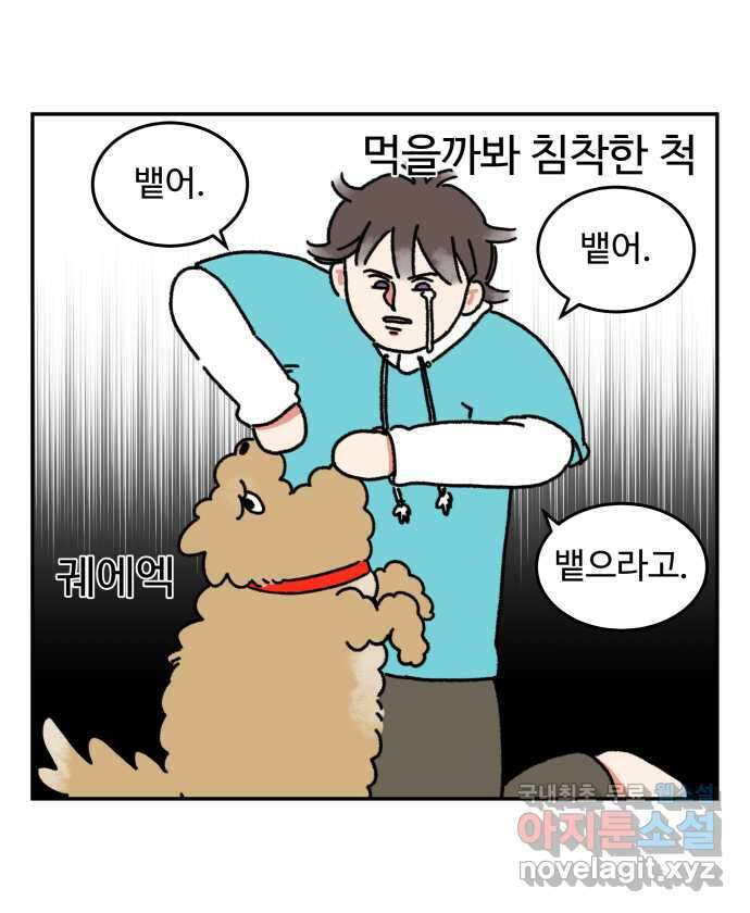 강아지는 멍멍하고 짖지 않아! 8화 - 방심할 수 없는 산책 17