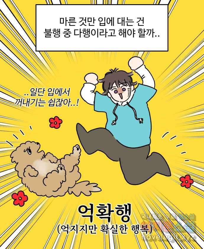 강아지는 멍멍하고 짖지 않아! 8화 - 방심할 수 없는 산책 19