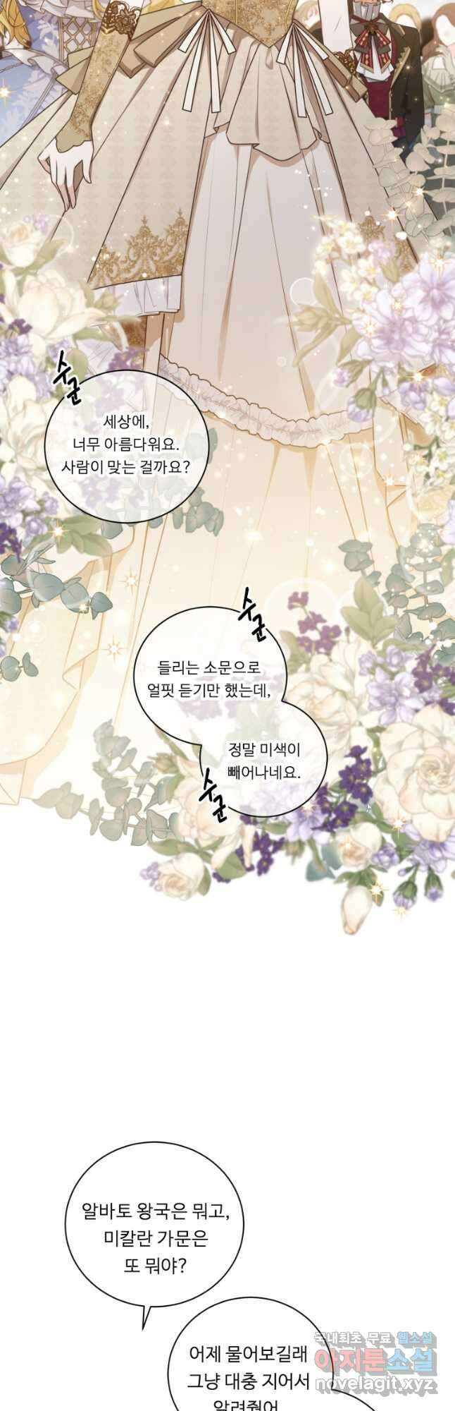 정령왕 엘퀴네스 252화 17