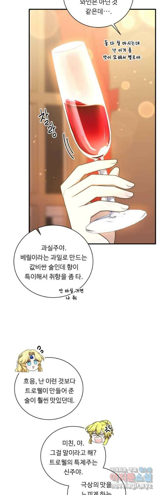 정령왕 엘퀴네스 252화 36