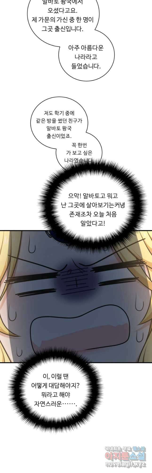 정령왕 엘퀴네스 252화 47