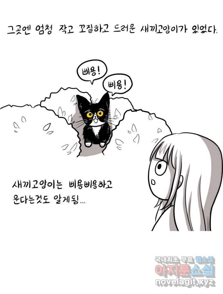 재활용 머학생 21화 냥줍하는 만화 6