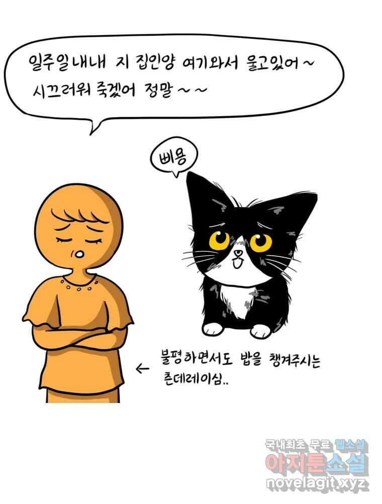 재활용 머학생 21화 냥줍하는 만화 8