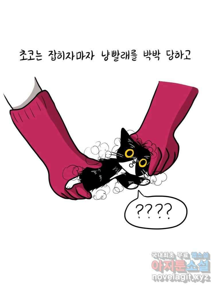 재활용 머학생 21화 냥줍하는 만화 27