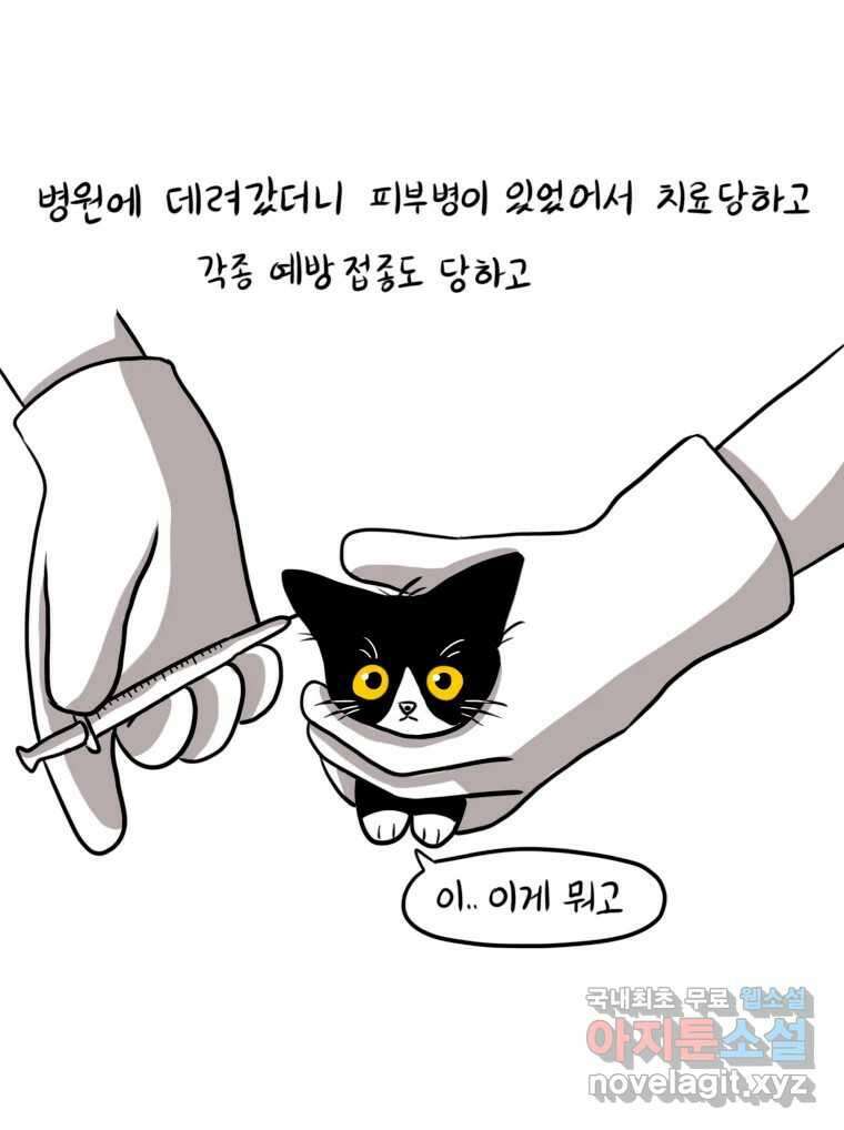재활용 머학생 21화 냥줍하는 만화 28