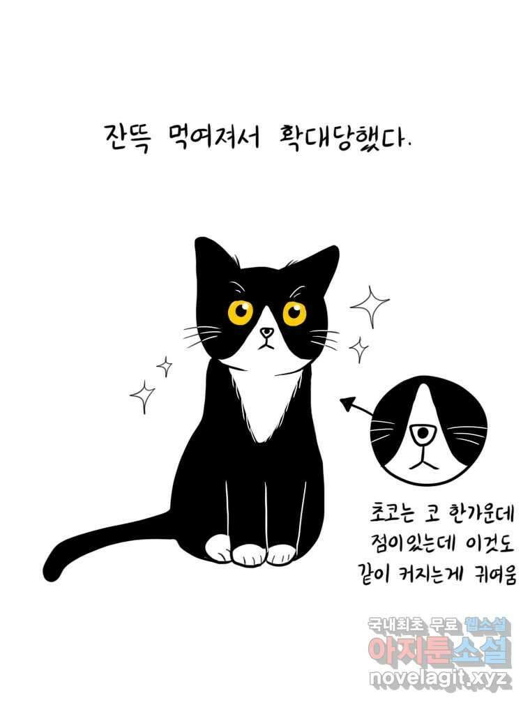 재활용 머학생 21화 냥줍하는 만화 29