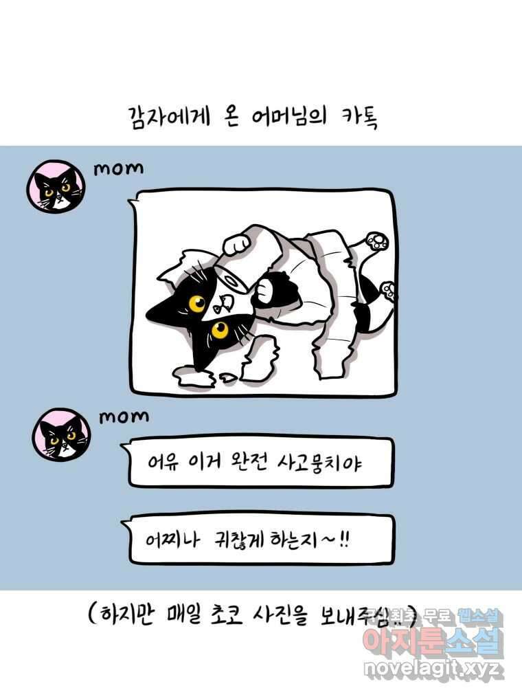 재활용 머학생 21화 냥줍하는 만화 30