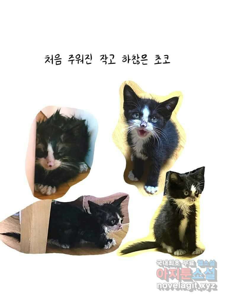 재활용 머학생 21화 냥줍하는 만화 40