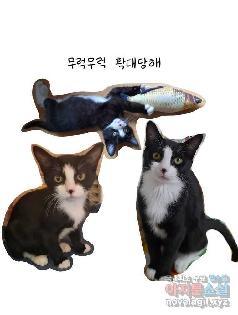 재활용 머학생 21화 냥줍하는 만화 41