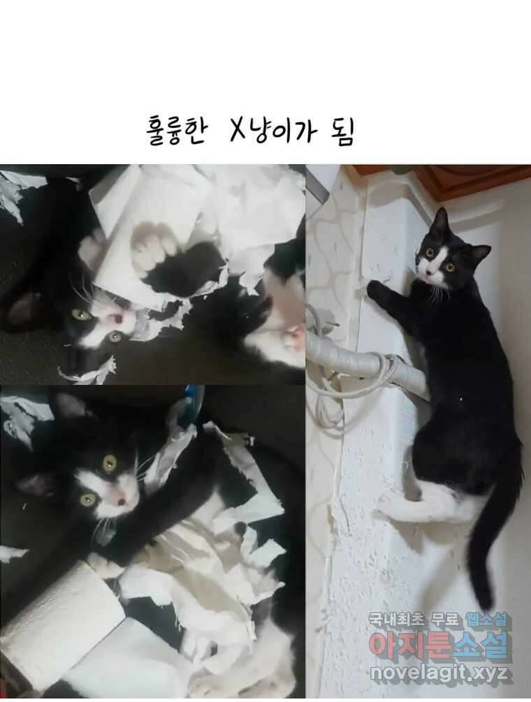 재활용 머학생 21화 냥줍하는 만화 42
