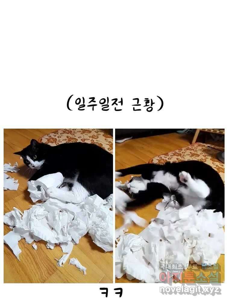 재활용 머학생 21화 냥줍하는 만화 43