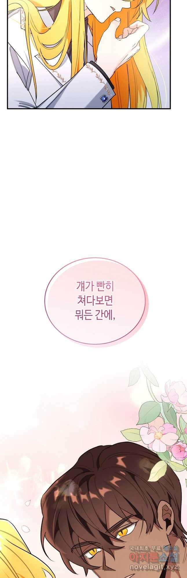 대공님의 애완 수인 42화 12