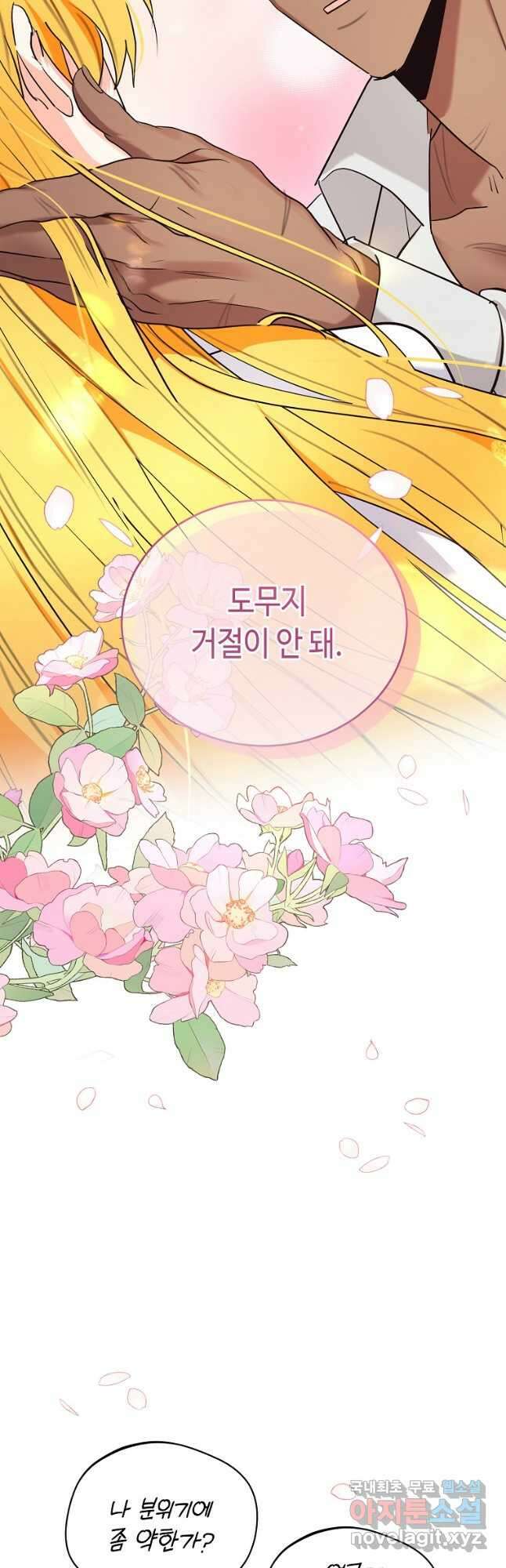 대공님의 애완 수인 42화 13