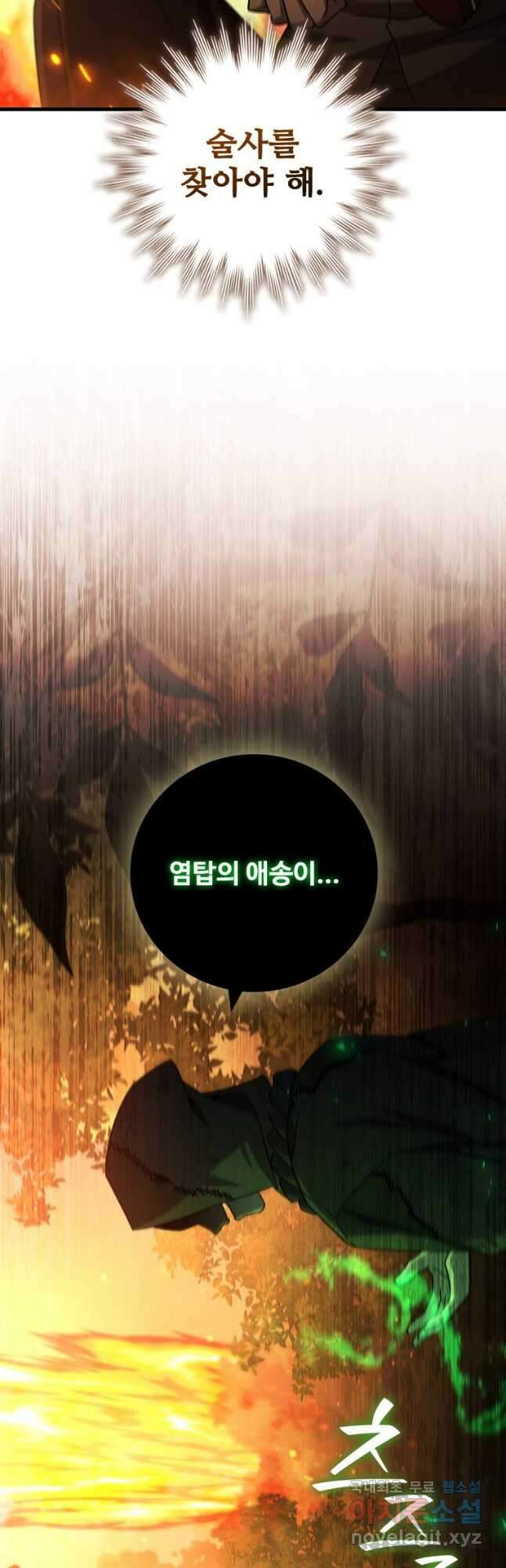 용을 삼킨 마법사 22화 53