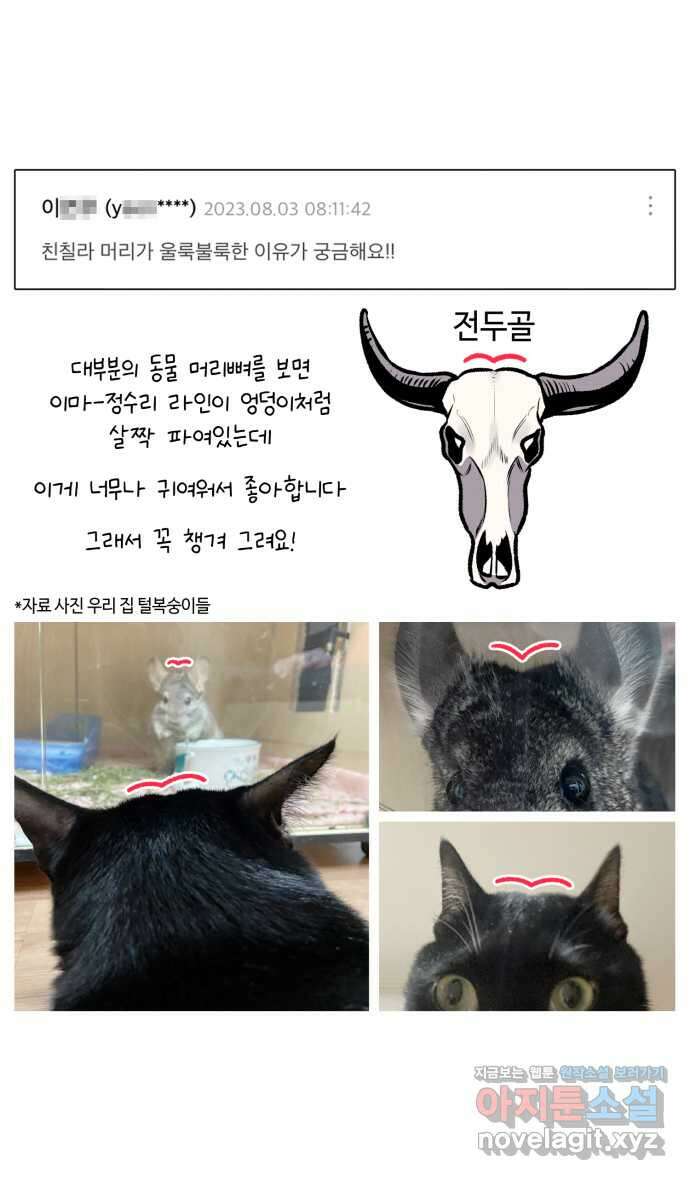 안녕, 나의 수집 QA 5