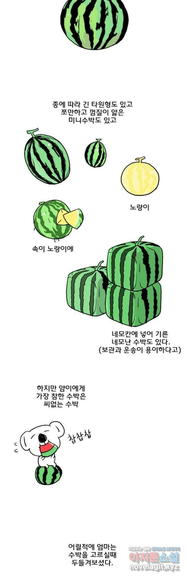 코알랄라33화 수박 4