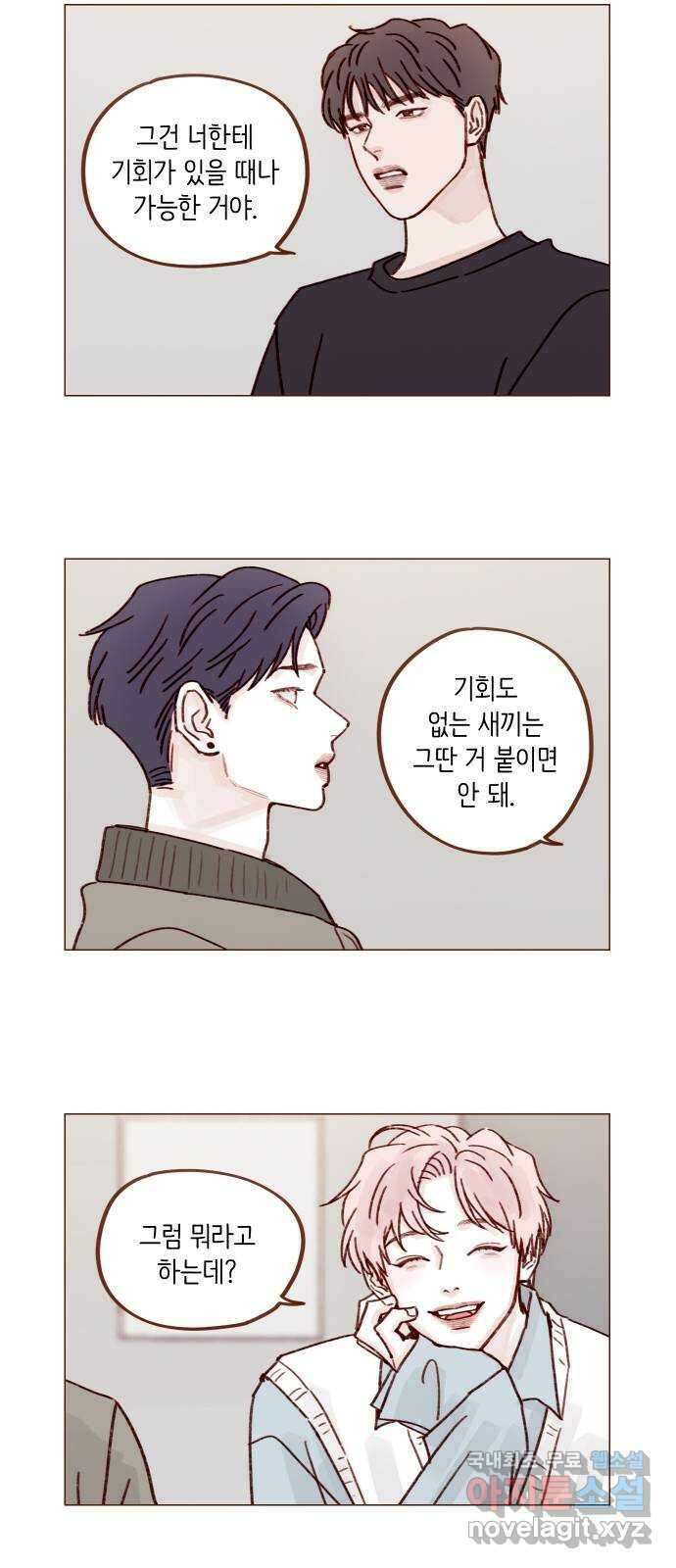 홍시는 날 좋아해! 255화 : 너한테는 절대로 10