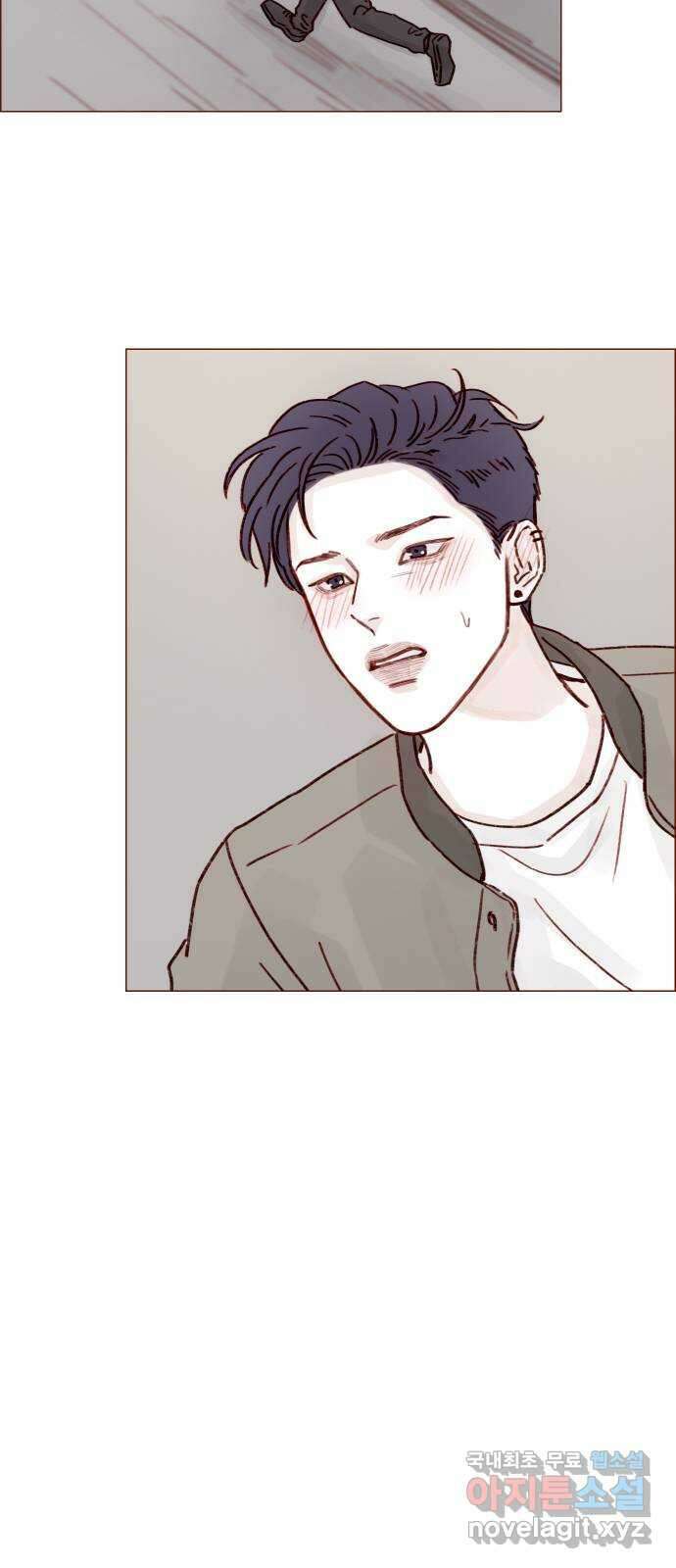 홍시는 날 좋아해! 255화 : 너한테는 절대로 19