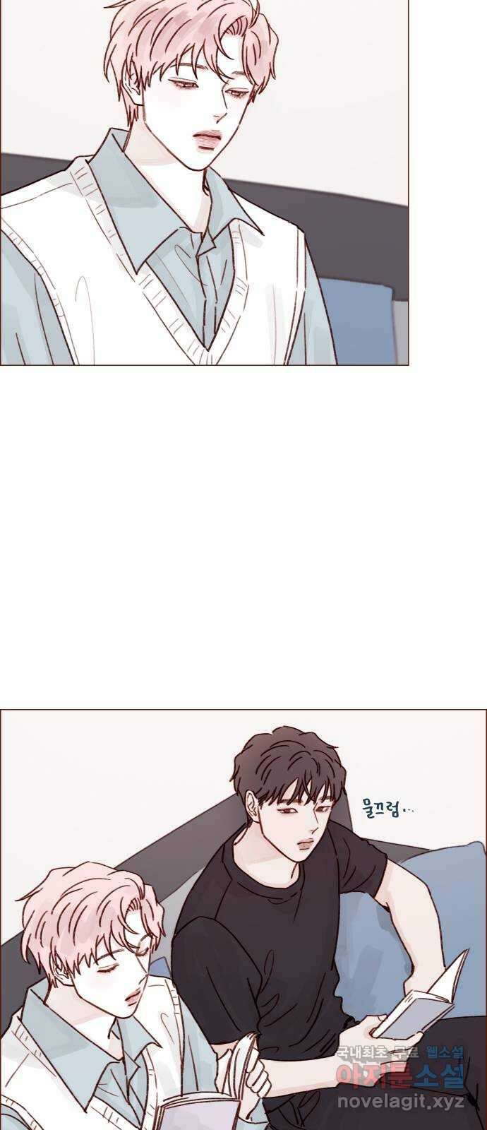 홍시는 날 좋아해! 255화 : 너한테는 절대로 23