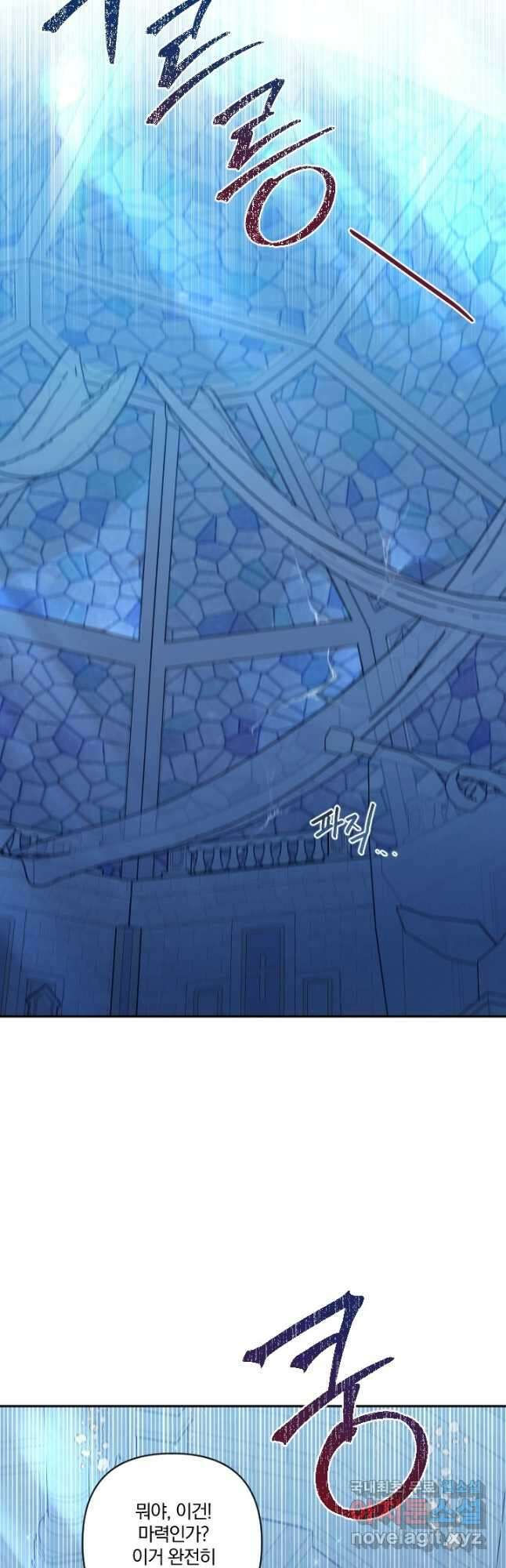 TL 소설 속 시녀가 되었습니다 90화 25