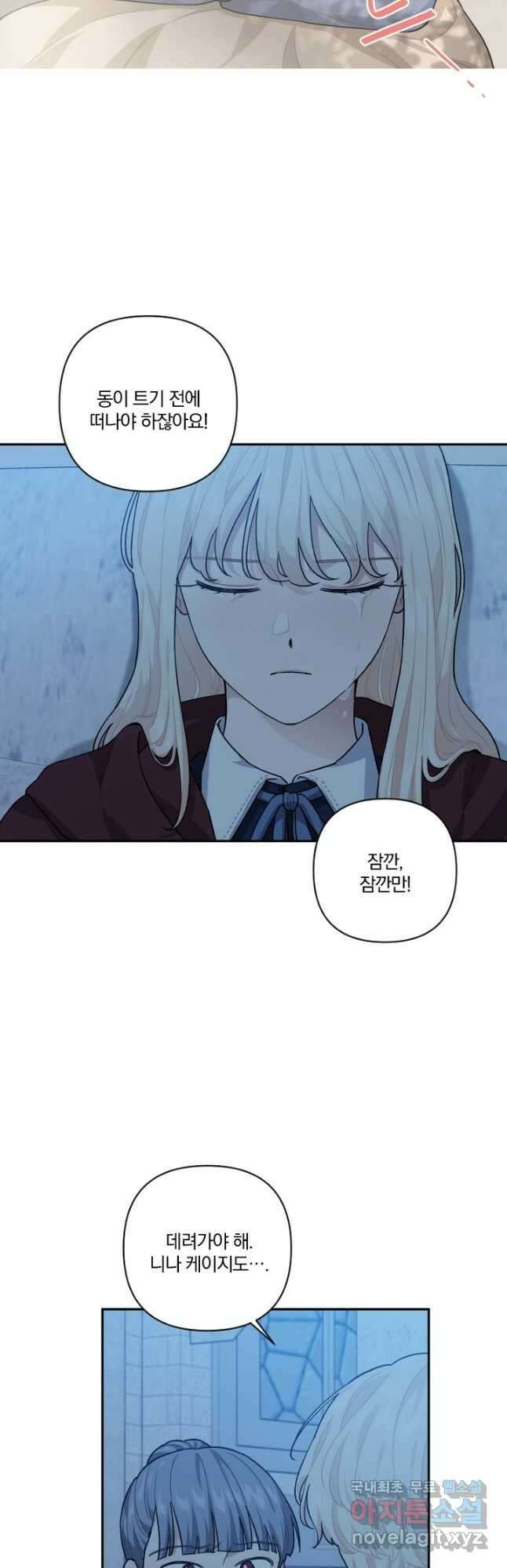TL 소설 속 시녀가 되었습니다 90화 37