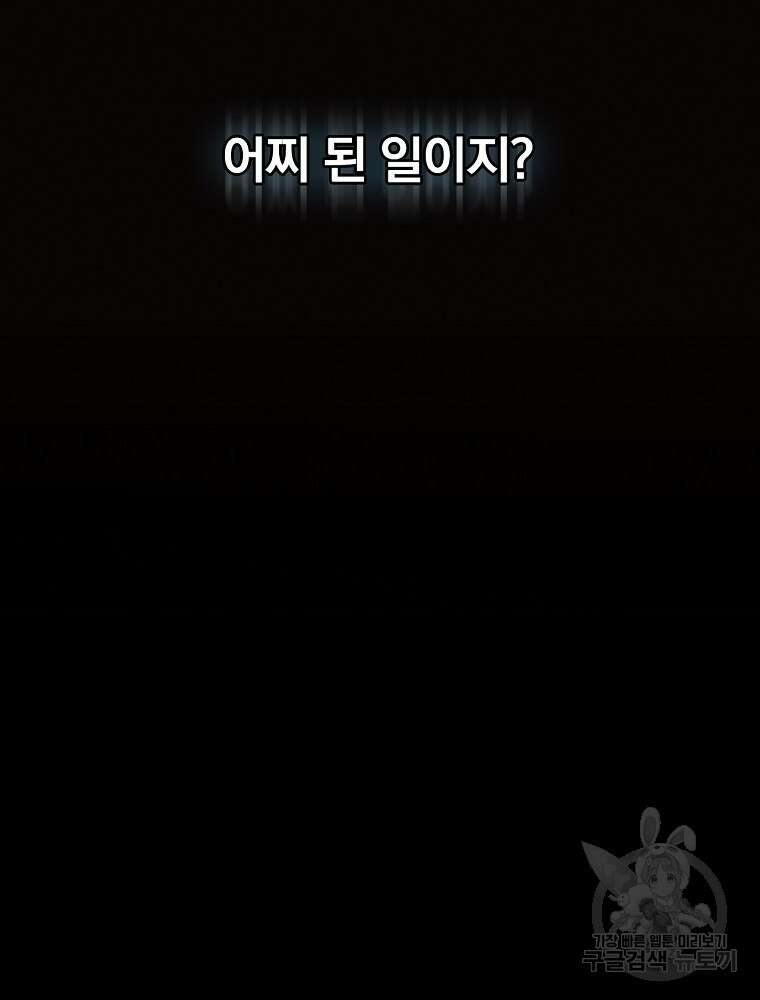 시크릿 레이디 89화 14