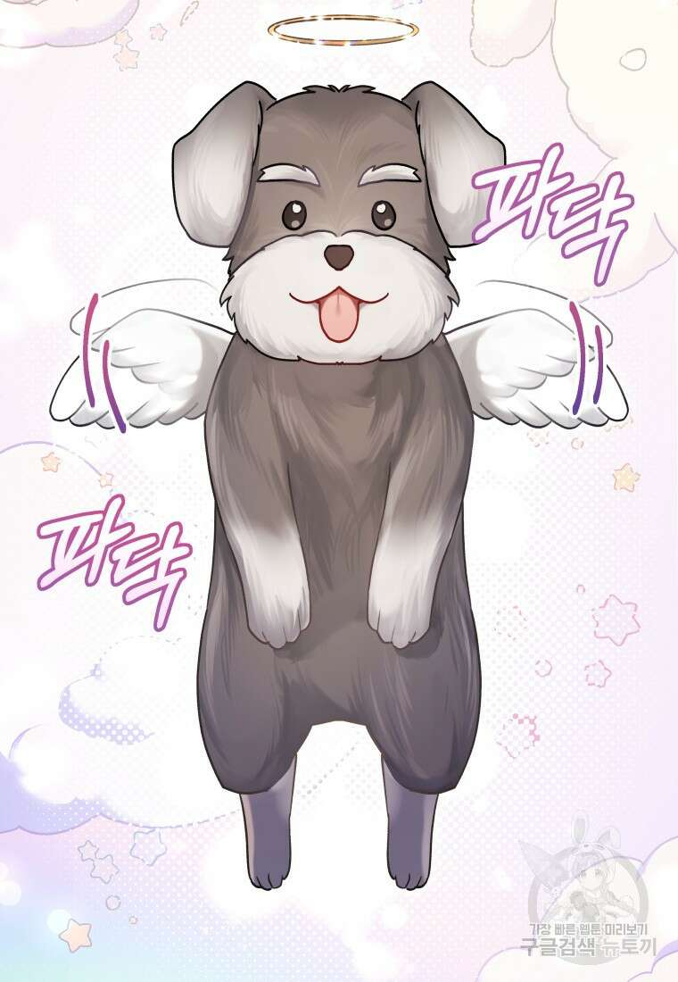 수의사님! 안녕하세요? 1화 22