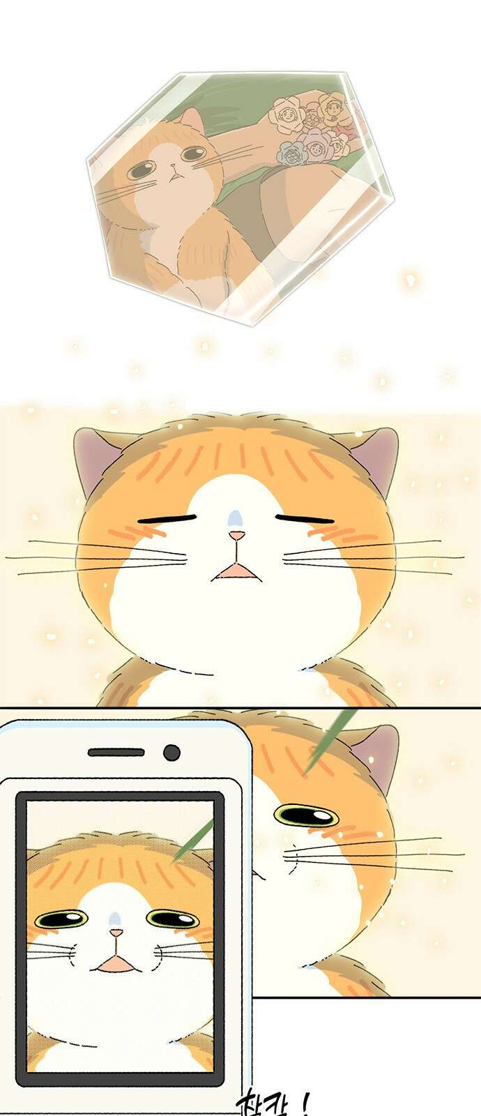 고양이 타타 40화 9