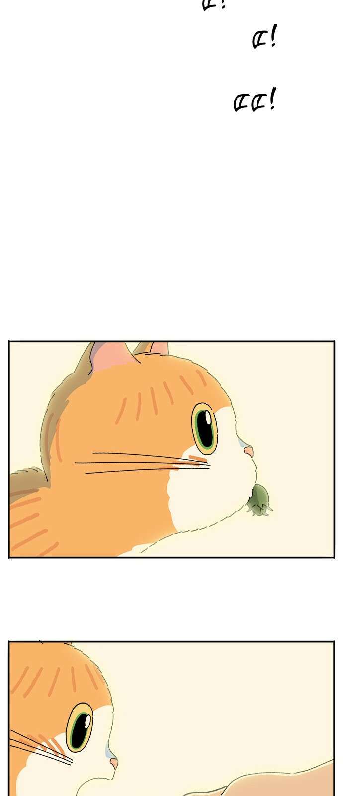 고양이 타타 40화 12