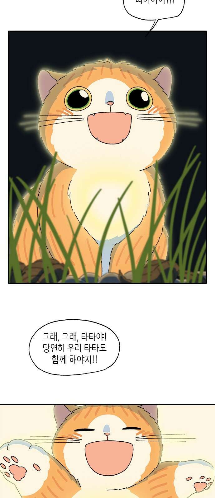 고양이 타타 40화 20