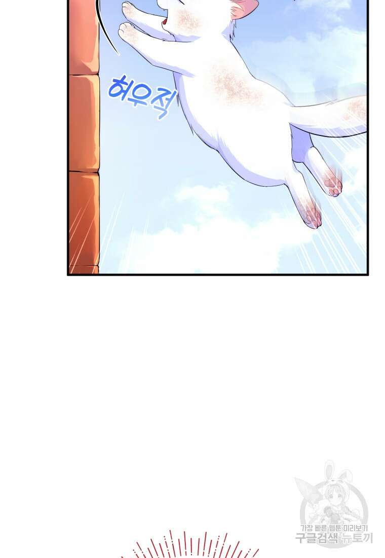 술탄의 귀한 고양이가 되었습니다 2화 3