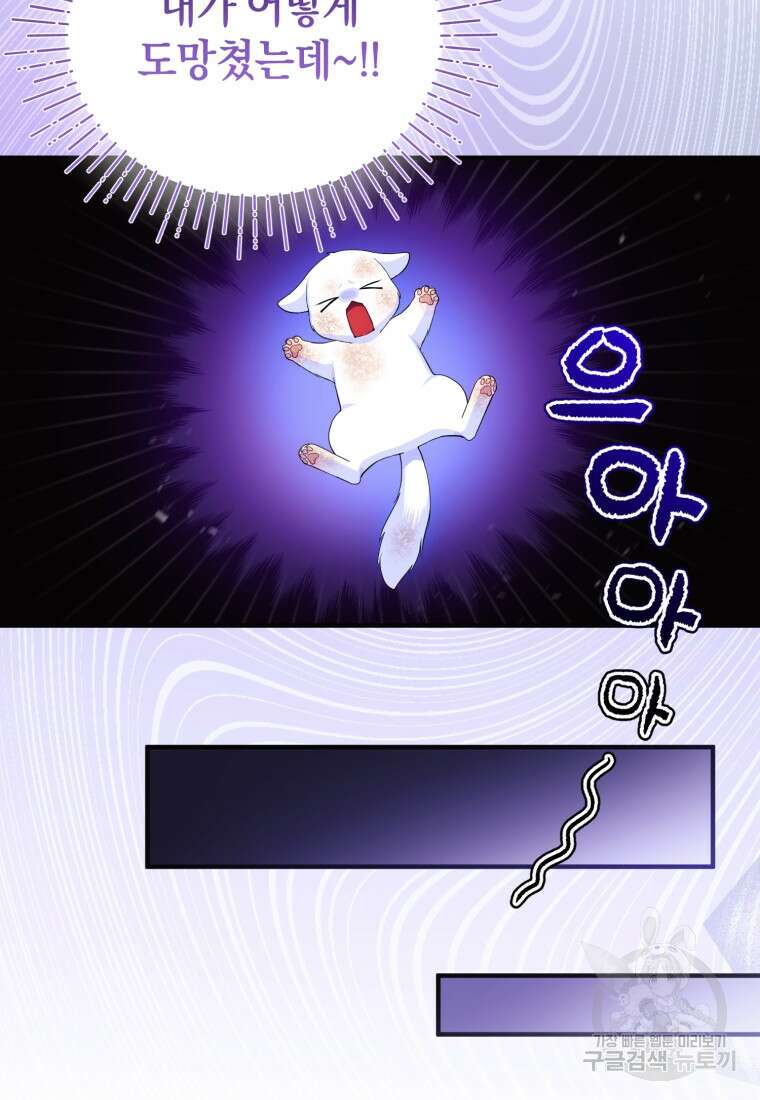 술탄의 귀한 고양이가 되었습니다 2화 6