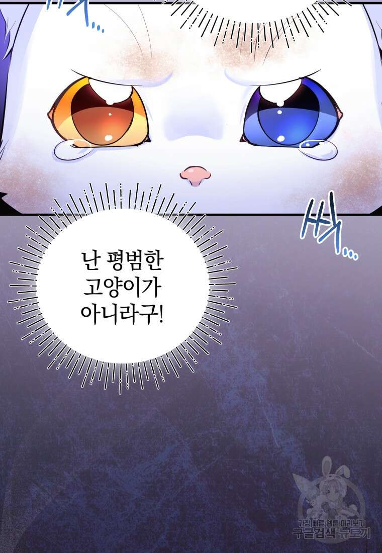 술탄의 귀한 고양이가 되었습니다 2화 13