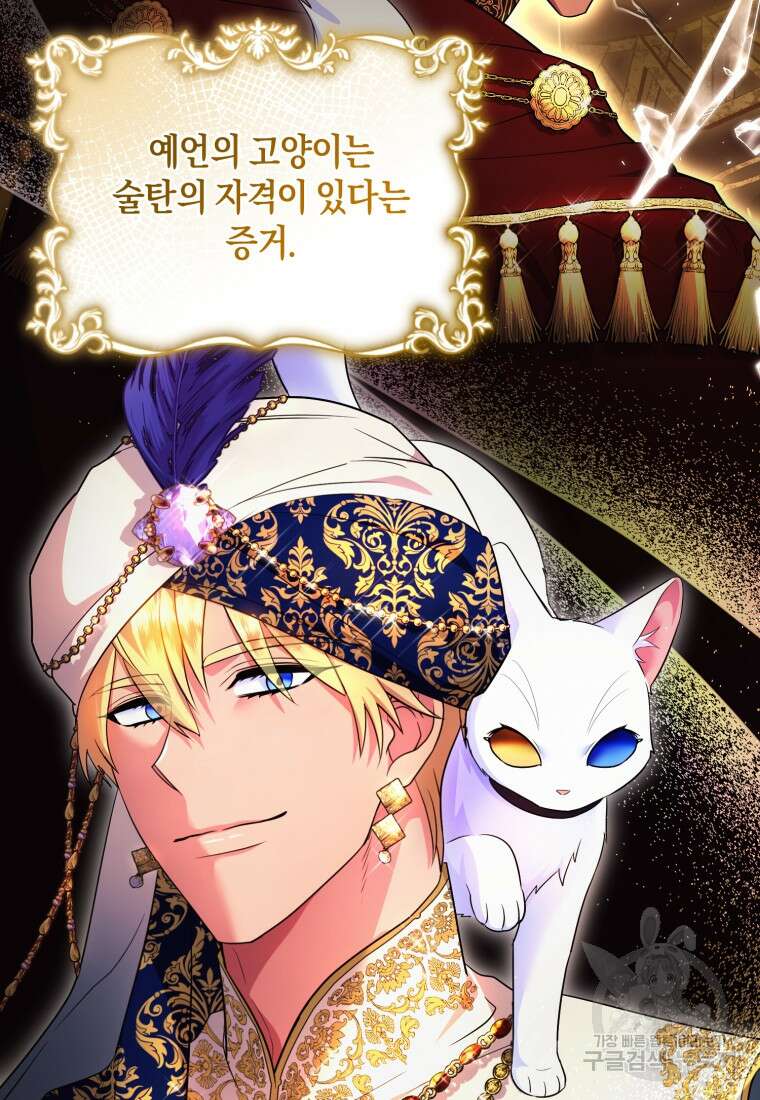 술탄의 귀한 고양이가 되었습니다 25화 15