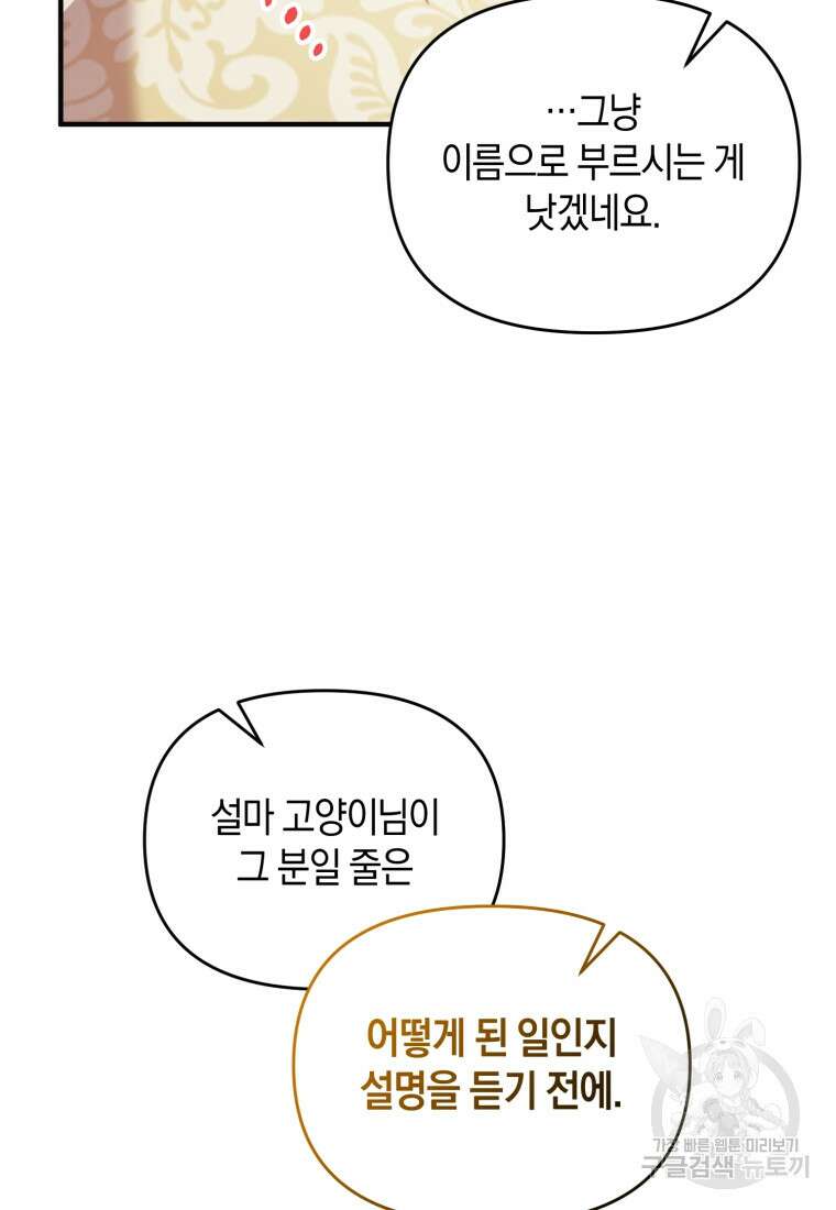 술탄의 귀한 고양이가 되었습니다 25화 20