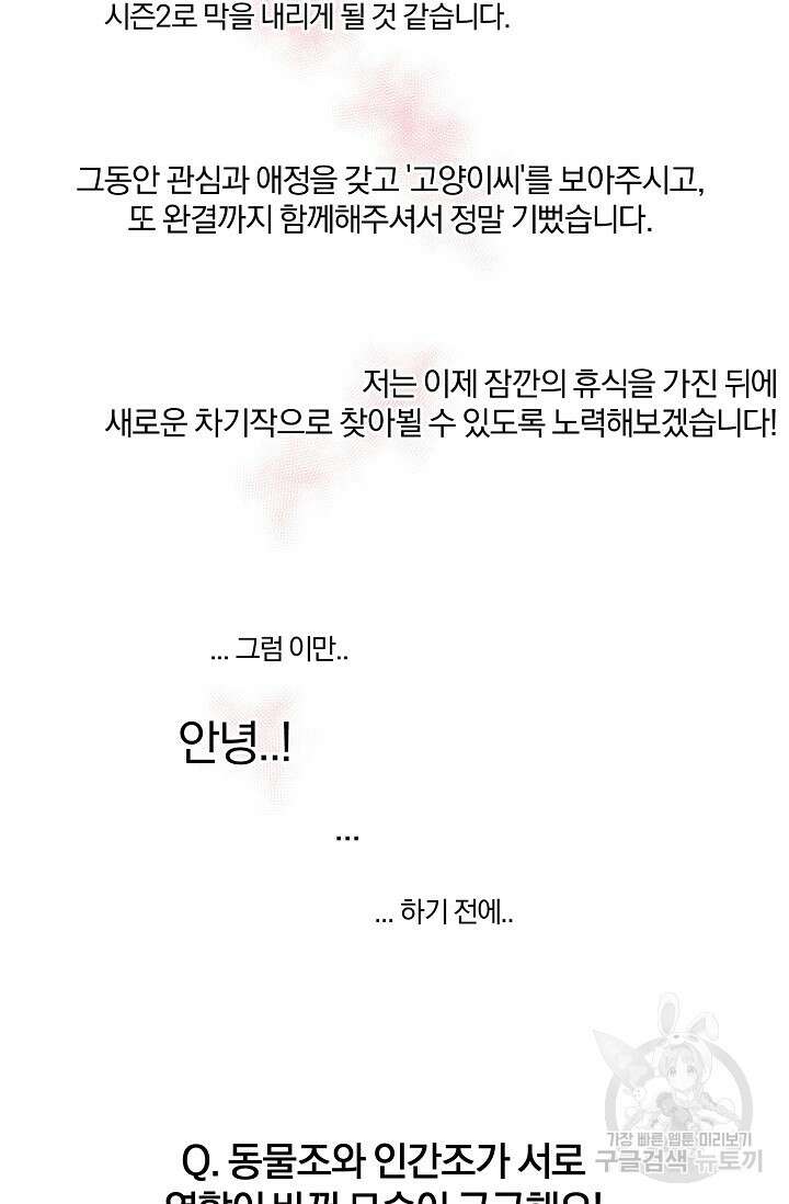 골판지 상자 안 고양이씨 후기 13