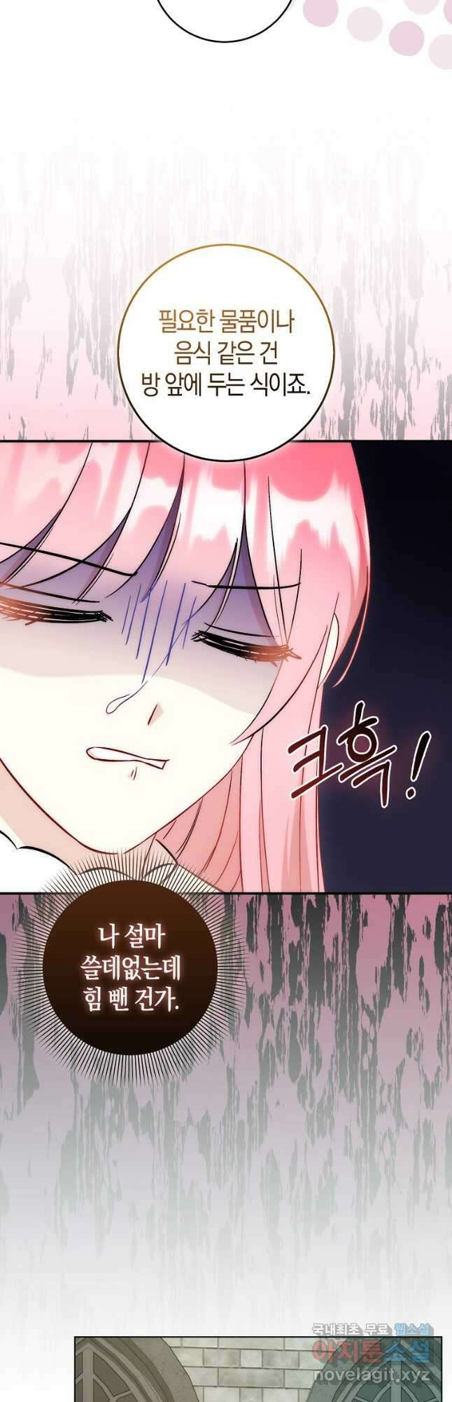 시한부 여주의 동생이 되었다 31화 5