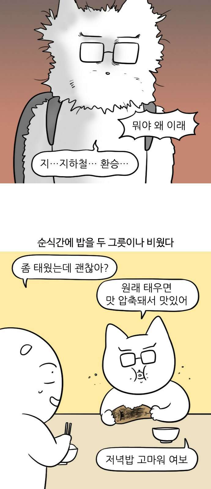 신혼일기 39화 일vs집안일 10